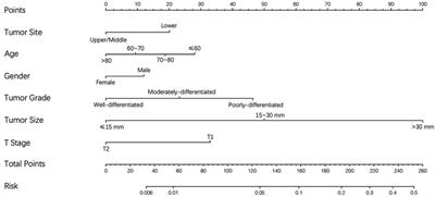 A population-based investigation: How to identify high-risk T1-2N0 esophageal cancer patients?